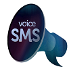 Voice sms services Voice sms services